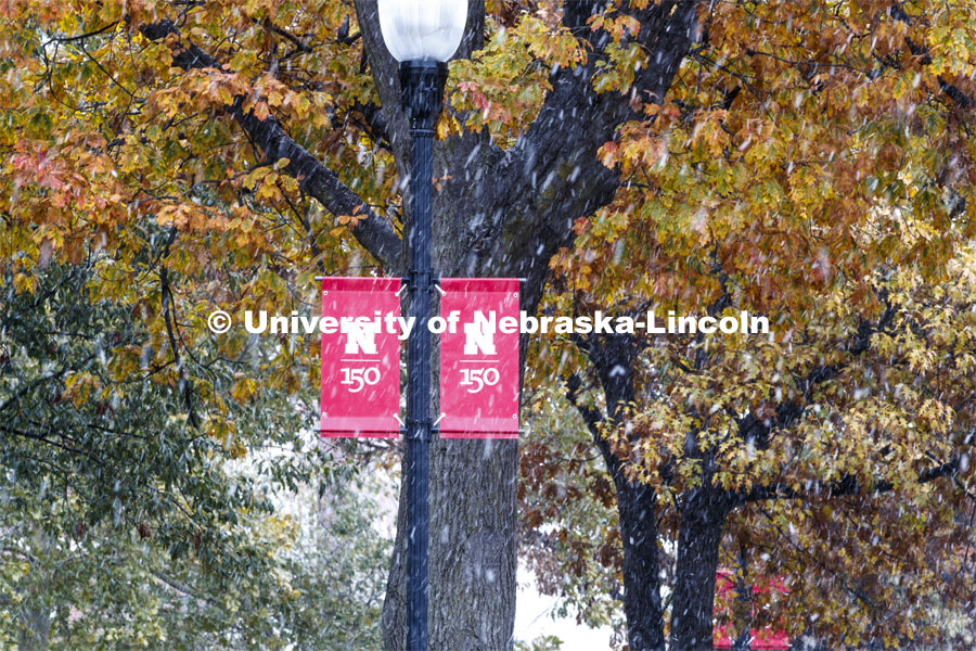 The trees are still holding their fall leaves as the snow falls. Snow on campus. October 30, 2019. Photo by Craig Chandler / University Communication.