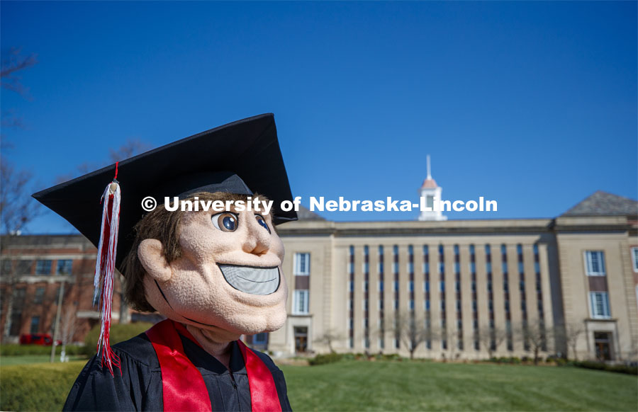 Herbie Husker stands on the lawn in front of Love Library and is decked out in graduation attire for the Spring Commencement that was which streamed online and aired on NET because of the COVID-19 pandemic. April 10, 2020. Photo by Craig Chandler / University Communication.