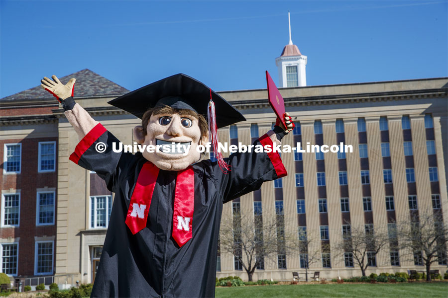 Herbie Husker stands in front of Love Library, proudly holding a diploma and is decked out in graduation attire for the Spring Commencement that was which streamed online and aired on NET because of the COVID-19 pandemic. April 10, 2020. Photo by Craig Chandler / University Communication.