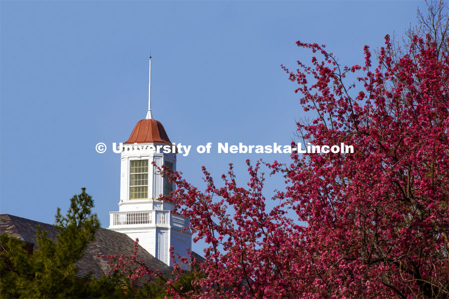 Love Library’s cupola is framed by blooming spring trees. City Campus. April 22, 2020. Photo by Craig Chandler / University Communication.