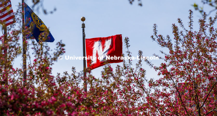 The University of Nebraska’s flag flies amongst the blooming spring trees. City Campus. April 22, 2020. Photo by Craig Chandler / University Communication