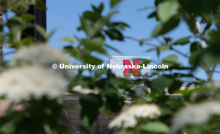 The Nebraska N on Memorial Stadium is framed by blooming spring plants. April 21, 2020. Photo by Gregory Nathan / University Communication.
