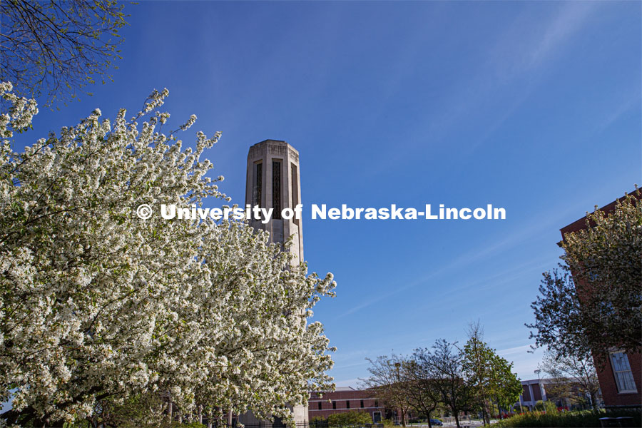 Mueller bell tower is surrounded by spring trees in bloom on City Campus. April 30, 2020. Photo by Craig Chandler / University Communication.