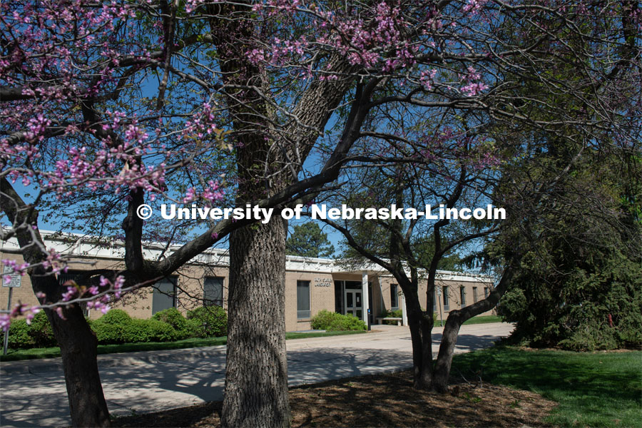 Spring is in bloom around the Ruth Staples Lab on East Campus. May 5, 2020. Photo by Gregory Nathan / University Communication.