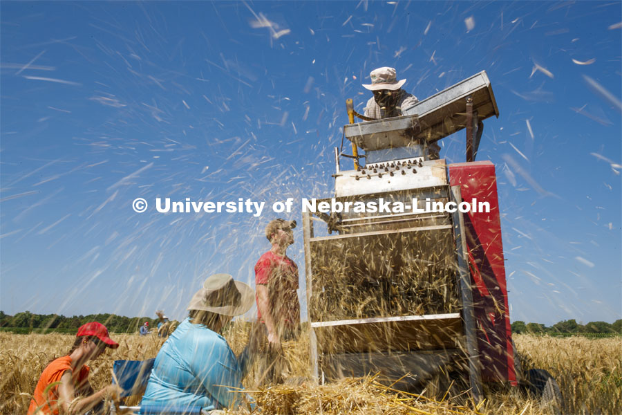 Chaff flies as Stephen Baenziger, professor and Wheat Growers Presidential Chair in the University of Nebraska–Lincoln’s Department of Agronomy and Horticulture, thrashes wheat samples harvested from the ag fields at 84th and Havelock. July 8, 2020. Photo by Craig Chandler / University Communication.