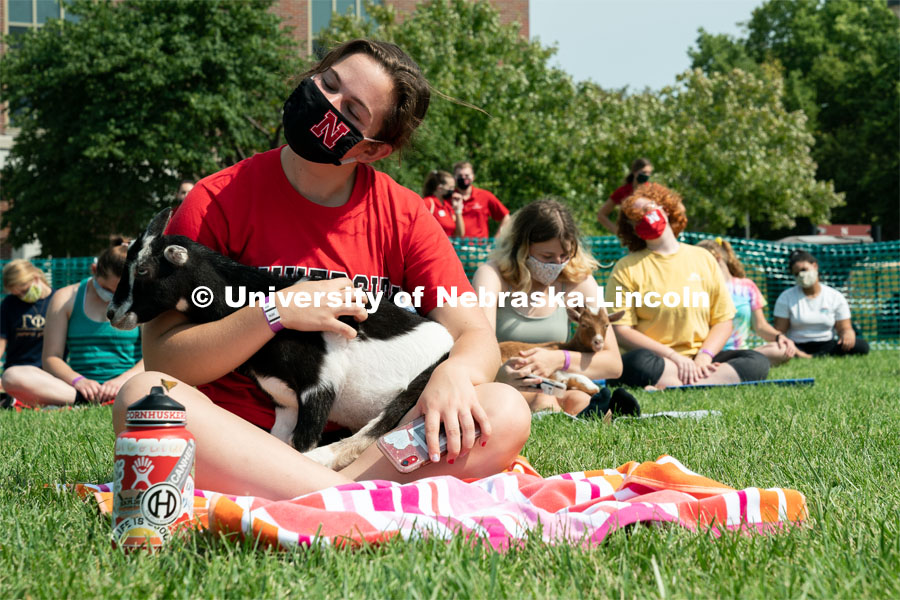 Students hold goats as they participate in yoga during Wellness Fest at Meier Commons. August 22, 2020. Photo by Jordan Opp for University Communication.
