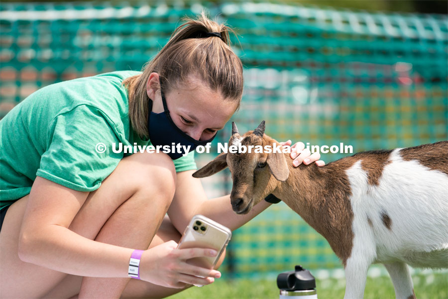 A student takes a selfie with a goat during Wellness Fest at Meier Commons. August 22, 2020. Photo by Jordan Opp for University Communication.