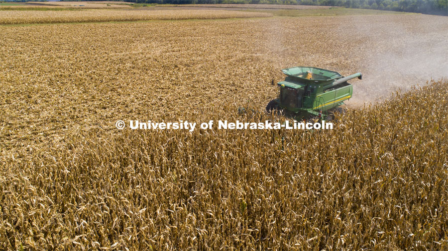 Corn is harvested in the test fields at 84th and Havelock. September 21, 2020. Photo by Craig Chandler / University Communication.