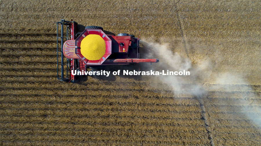 A combine works through a soybean field west of Firth, NE. Fall Harvest. October 6, 2020. Photo by Craig Chandler / University Communication.