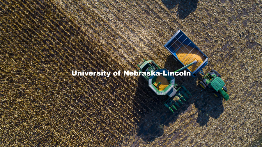 A combine works through a corn field north of Adams, NE. Fall harvest. October 7, 2020. Photo by Craig Chandler / University Communication.