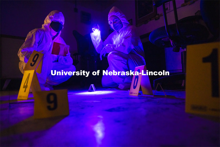 Symone Arends, a senior from Lincoln, shines an ultraviolet light onto the floor. The light will make body fluids and fibers glow when viewed through the filter held by Alysa Ehlers, a senior from Woodbridge, VA. The two are working a mock crime scene in a basement room in Filley Hall. Forensic Science 485 is the capstone for the seniors. The CSI option students work a mock crime scene while the biochemistry option students process the samples. The class concludes with a mock trial. March 2, 2021. Photo by Craig Chandler / University Communication.
