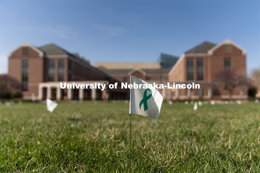 Flags are spread across the Nebraska Union Greenspace. Flags and signs are placed in the Nebraska Union Greenspace to promote Sexual Assault Awareness Month. April 4, 2021. Photo by Jordan Opp for University Communication.