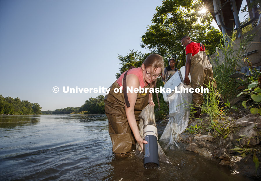 Meredith Sutton, graduate student in environmental engineering, pulls the sediment collection jar out of the Elkhorn River as she, McNair scholar Seth Caines and summer research scholar Moriah Brown from Howard University use a floating sieve to sample water in the Elkhorn River. They are working with Professor Shannon Bartlet-Hunt researching textiles as a source of microplastic fibers to Nebraska streams. July 2, 2021. Photo by Craig Chandler / University Communication.
