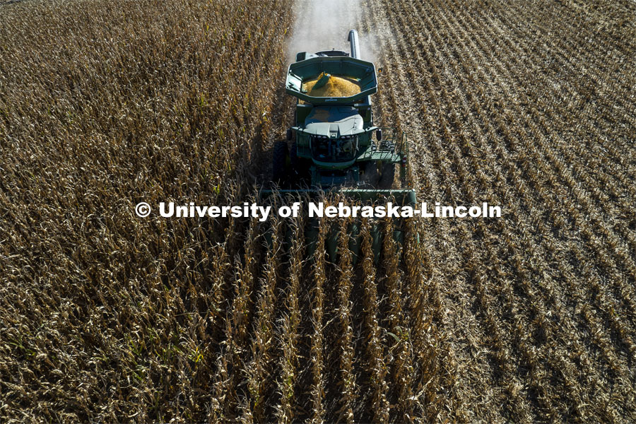 Corn is harvested southeast of Lincoln Monday morning. September 27, 2021. Photo by Craig Chandler / University Communication.
