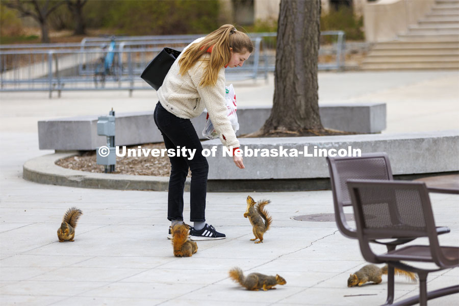Natalia Vorobeva, a graduate student in chemistry, feeds a ring of squirrels outside the Nebraska Union. April 19, 2022. Photo by Craig Chandler / University Communication.