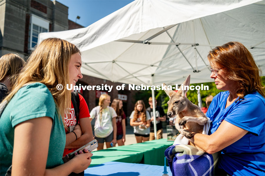 Petting Zoo with Wildlife Encounters on the Nebraska Union Plaza. September 6, 2022. Photo by Jonah Tran / University Communication.