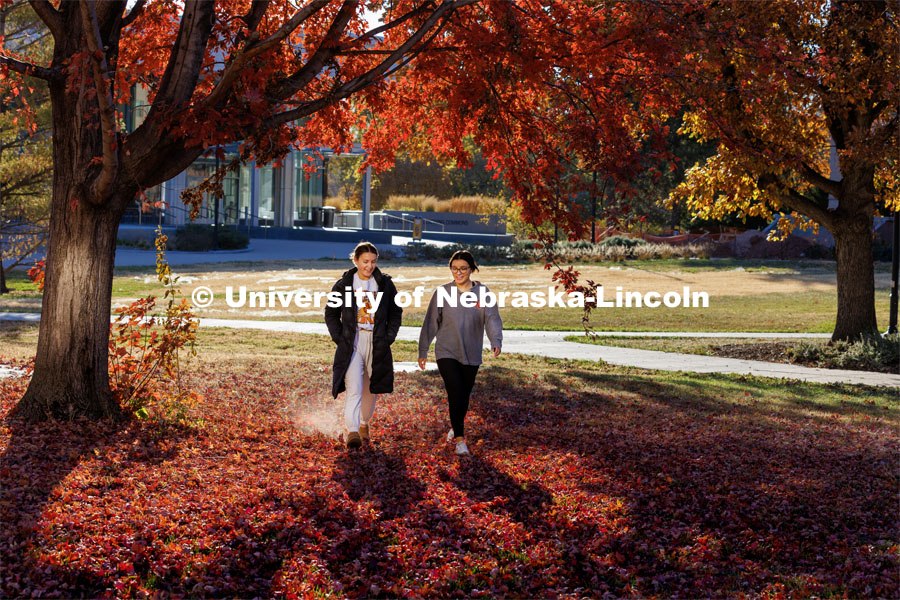 Ashlyn Rapisarda, a senior from Wisconsin, and Chloe Shane, a senior from Chicago, walk through the leaves under a tree outside the Dinsdale Family Learning Commons. Fall on east campus. November 1, 2022. Photo by Craig Chandler / University Communication.
