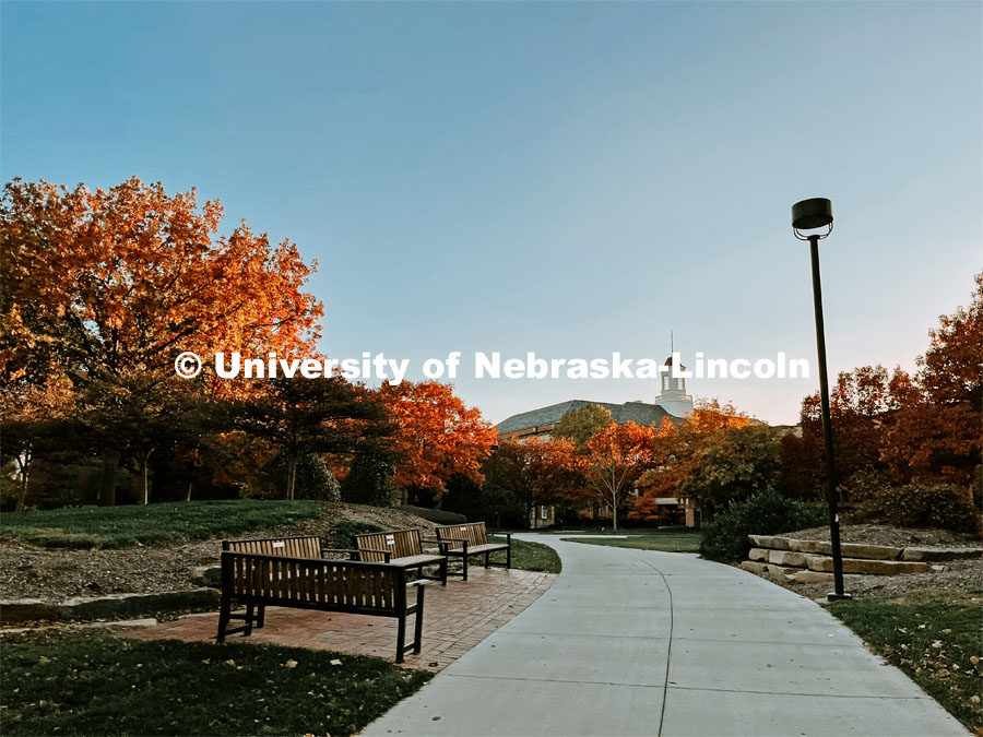 Fall on City Campus. November, 2022. Photos by Katie Black and Taylor DeMaro / University Communication. 