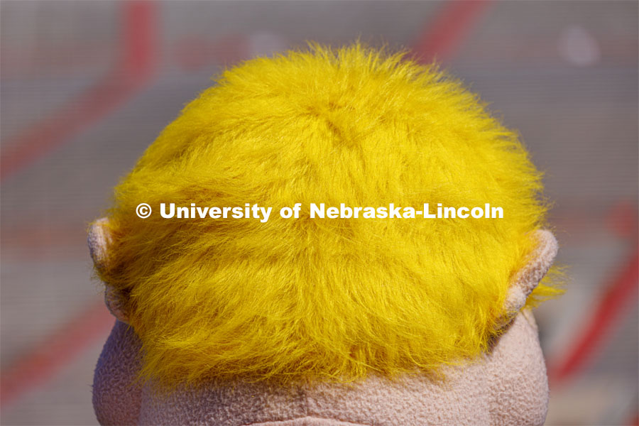 Closeup of Herbie's yellow / blonde hair. New Herbie photoshoot. April 7, 2023. Photo by Craig Chandler / University Communication.