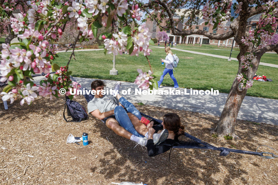 Ryan Healy, a senior from Gothenburg, hangs out under the blooming trees with Madeline Morrison, a junior from Pequot Lakes, Minnesota. Spring on City Campus. April 18, 2023. Photo by Craig Chandler / University Communication.
