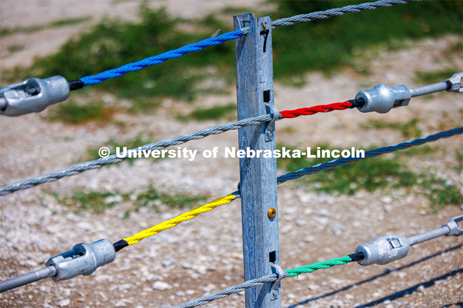 A cable system for highway medians at the Midwest Roadside Safety Facility. June 5, 2023. Photo by Craig Chandler / University Communication.