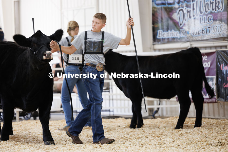 Luke Katz of Beatrice eyes the judge during the intermediate division beef showmanship competition. 4H/FFA Beef Show at the Gage County Fair and Expo in Beatrice. July 28, 2023. Photo by Craig Chandler / University Communication.
