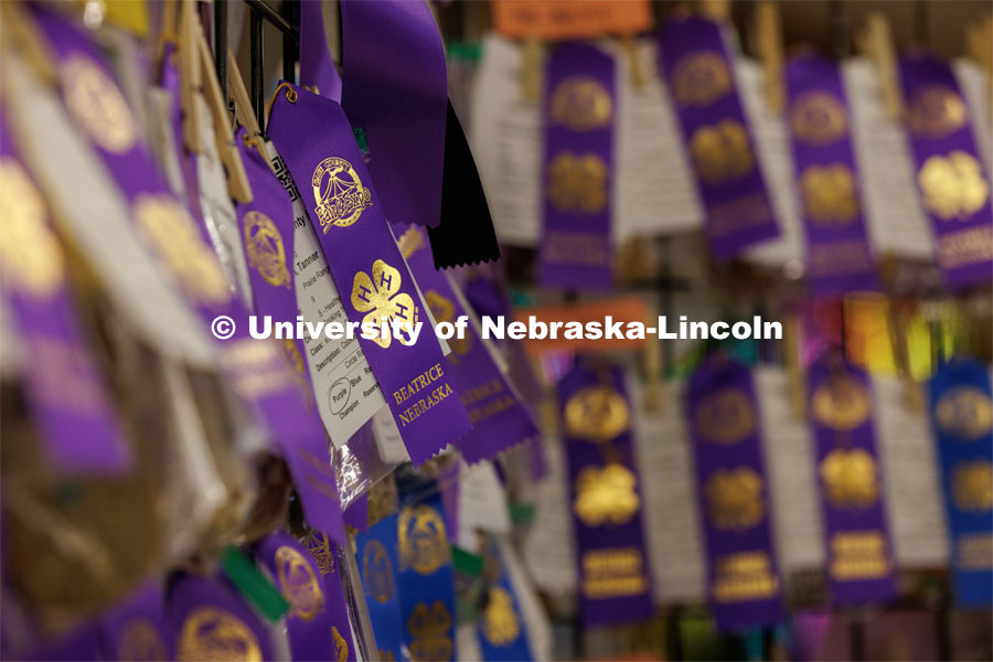 A wall of ribbons at the 4H/FFA Beef Show at the Gage County Fair and Expo in Beatrice. July 28, 2023. Photo by Craig Chandler / University Communication.