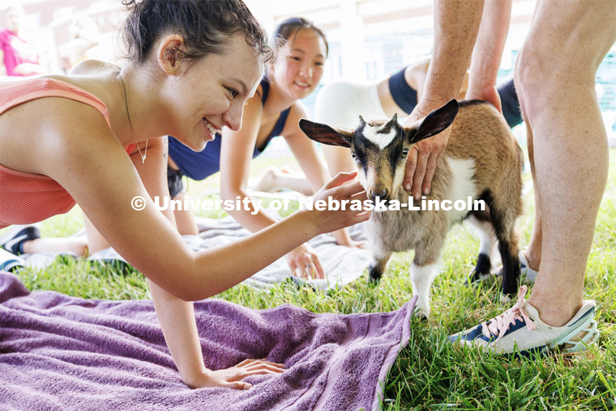 Rose Padios, a freshman from Omaha, pets a baby goat during goat yoga session. Wellness Fest in front of the Nebraska Union and on the green space. August 19, 2023. Photo by Craig Chandler / University Communication.