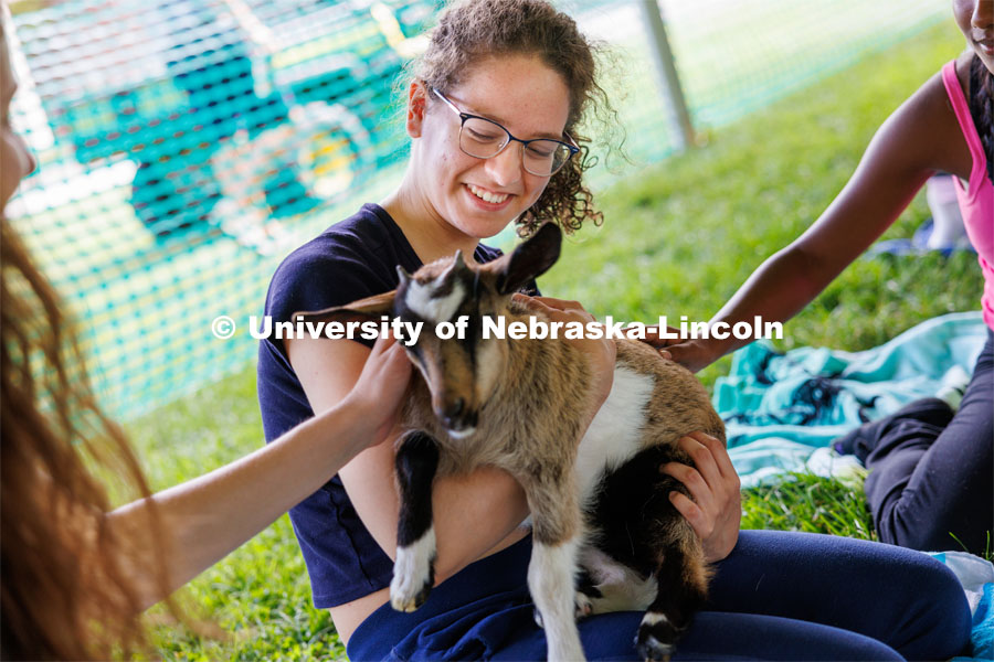 Students interact with goats during goat yoga at the Wellness Fest in front of the Nebraska Union and on the green space. August 19, 2023. Photo by Craig Chandler / University Communication.