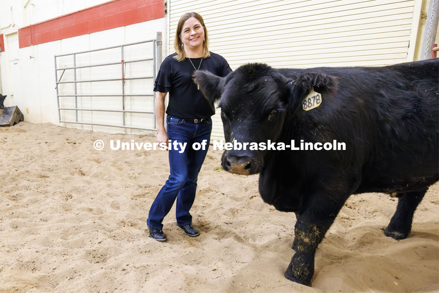 Jessica Petersen Associate Professor of Animal Science, with beef cattle in the animal science arena on East Campus. Her research can expand the range of genetic tools used by breeders to boost cattle growth efficiency. An increase in feed efficiency of just 1% would save the U.S. cattle sector more than $11 million a year. September 15, 2023. Photo by Craig Chandler / University Communication.