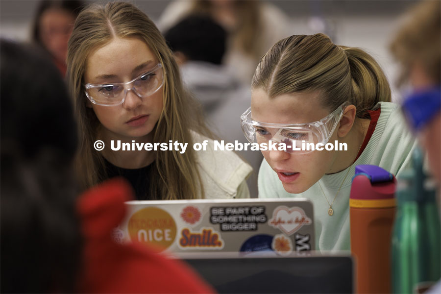 Biology students read their experiment notes on a laptop. LIFE 120L - Fundamentals of Biology lab in Manter Hall. February 22, 2024. Photo by Craig Chandler / University Communication and Marketing.