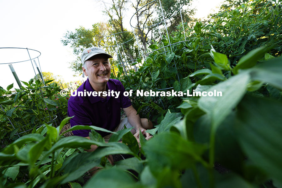 250701_Community_Garden_2359.jpg Bill Sorensen grins over the tops of his hot pepper plants in the plot he rents in the East Campus C