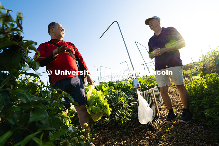 250701_Community_Garden_2378.jpg Mark Mesarch and Bill Sorensen walk through plots in the East Campus Community Gardens. Both work in