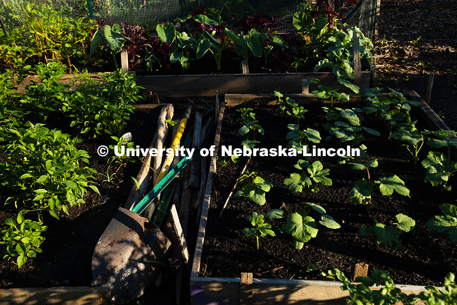 250701_Community_Garden_2423.jpg A model plot, as described by Mark Mesarch, with spaced, organized raised beds. Mesarch does web and