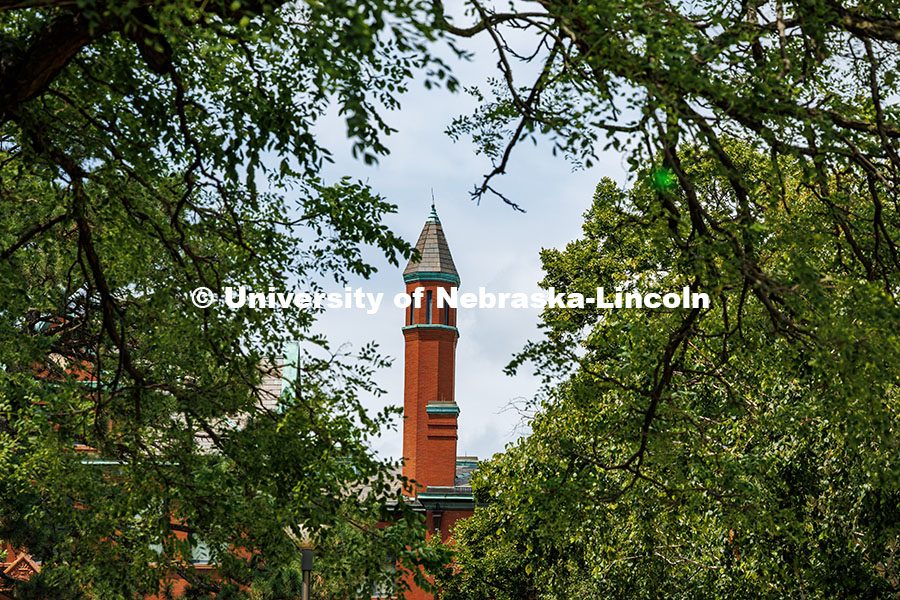 250716_City_Campus_089.jpg Architecture Hall's turret is framed by trees. Summer on City Campus. July 16, 2025.