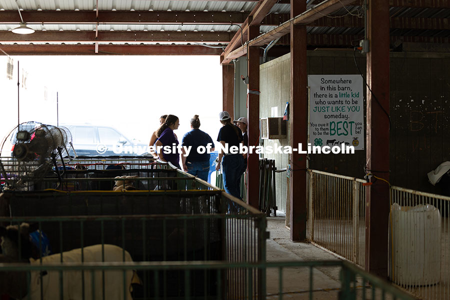 250731_Otoe_Fair_3070.jpg A group of 4-H competitors chat at the edge of the livestock barn at the Otoe County Fair in Syracus