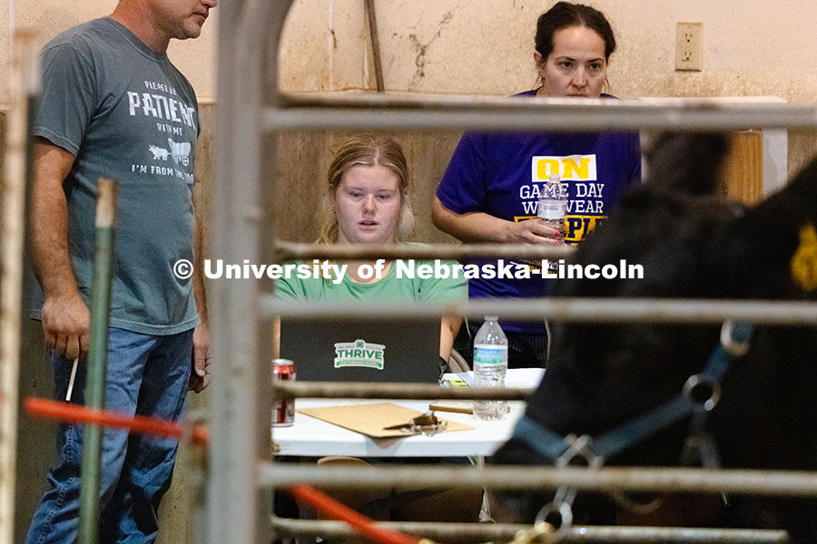 Kristen Herrick, 4-H Extension Assistant, enters data during livestock entry at the Otoe County Fair