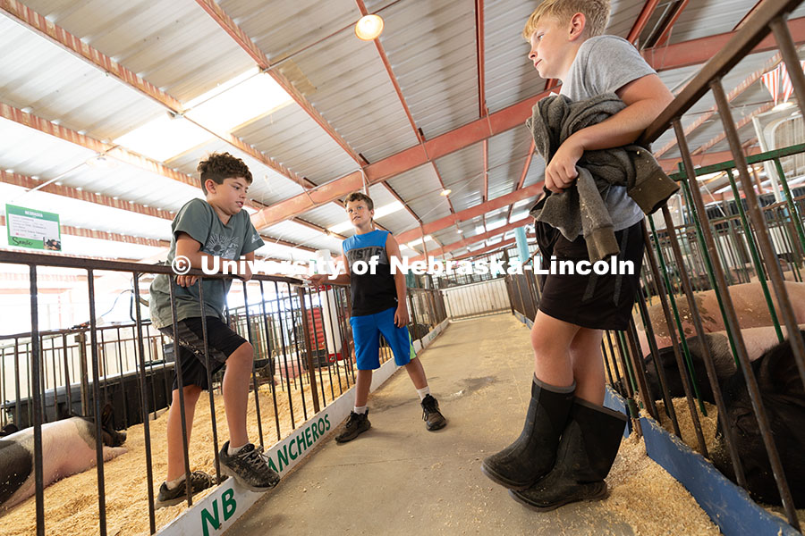 250731_Otoe_Fair_3280.jpg Friends Trent Stubbendick, 12, from Avoca, Liam Wander, 10, from Syracuse, and Elliot Johnson, 12, f