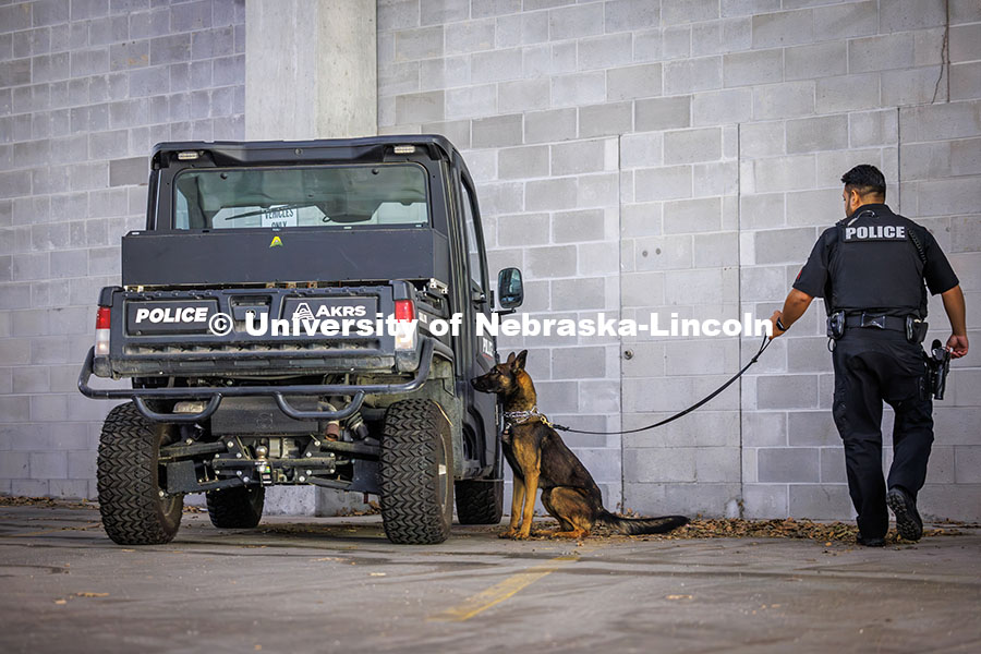 250902_Police_156.jpg Dodger, the newest bomb-sniffing dog for UNLPD, finds a hidden scent during practice with Officer An