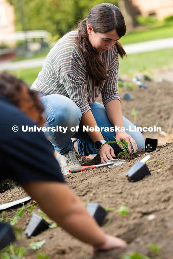 Ana Tudela, a doctoral student in the Modern Languages department, carefully covers a plant in the I