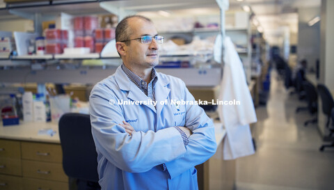 Armen Petrosyan lab at UNMC Durham Research Center, Omaha. November, 16, 2018. 