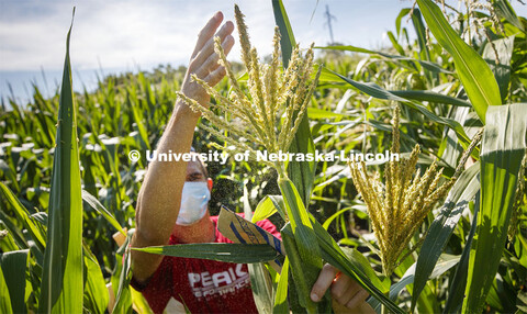 David Holding, Associate Professor of Agronomy and Horticulture, and Caleb Wehrbein, senior in plant