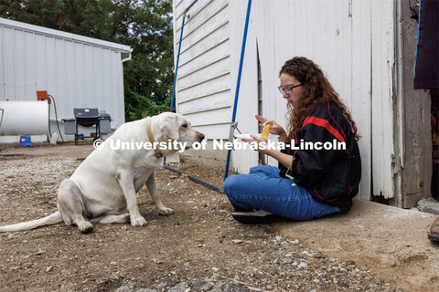 Marley Hewitt eats her lunch under the hopeful eyes of Nala, the farm dog of the residence. Filming 