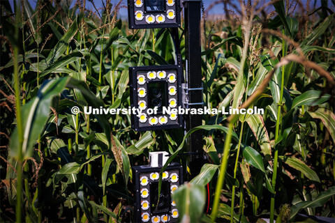 James Schnable’s group is testing Phenobot, a robot that measures leaf angle on corn to see how we