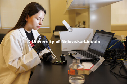Kassandra Durazo-Martineza, a graduate student in animal science, pipettes a sample in the Flow Cyto