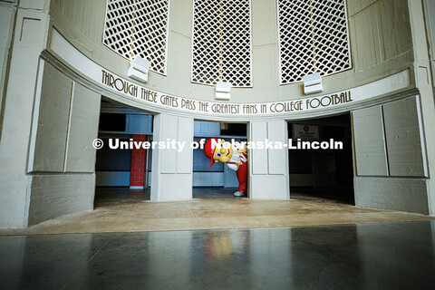 Ben Hastreiter as ‘Lil Red peaks out from behind a column in Memorial Stadium. Hastreiter has been
