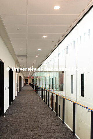 Plate glass walls on the third floor allows plenty of natural light to reach faculty and staff offic