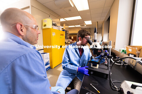 Brennan Watts, a fourth-year doctoral student, looks through a microscope at a checkerboard-patterne