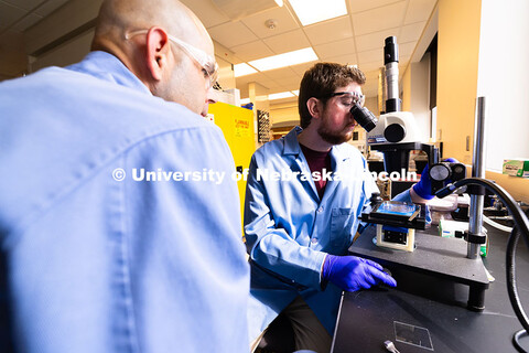 Brennan Watts, a fourth-year doctoral student, looks through a microscope at a checkerboard-patterne