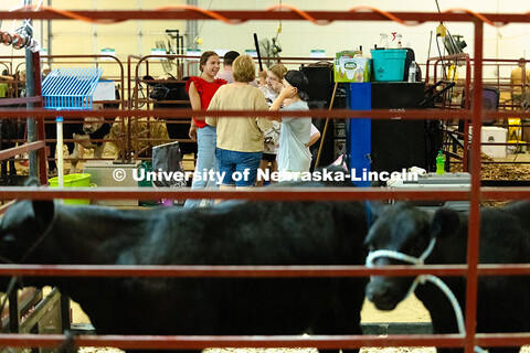 A group of 4-H competitors chat at the edge of the cattle barn just before livestock entry at the Ot